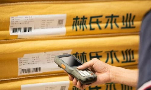 數字化時代排頭兵，林氏木業戰略再顯優勢 供應鏈管理服務